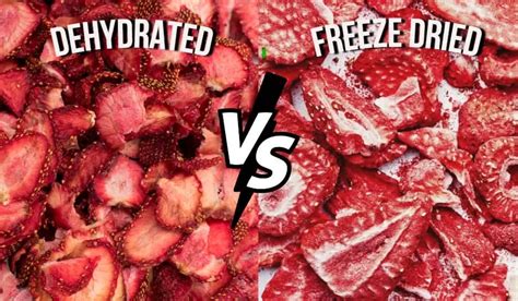 freeze dryer vs dehydrator|difference between freeze dried and dehydrated.